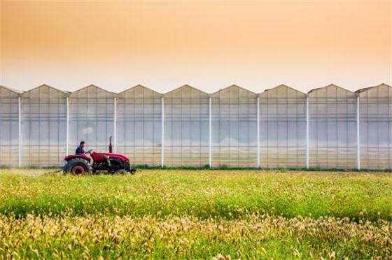現代農業田園綜合體建設內容及扶持政策